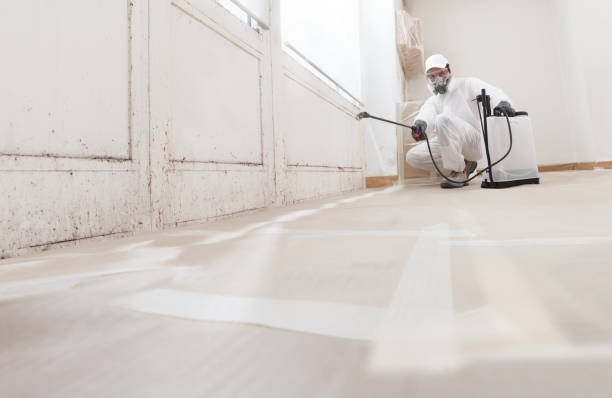 24/7 Emergency Attic Mold Removal experts in Bloomington, MD